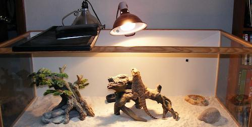 ceramic heat lamp for bearded dragon