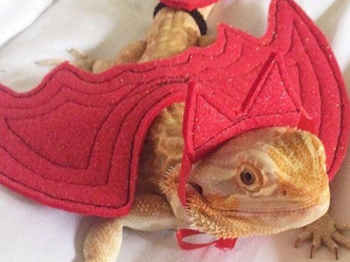 Bearded Dragon Costume