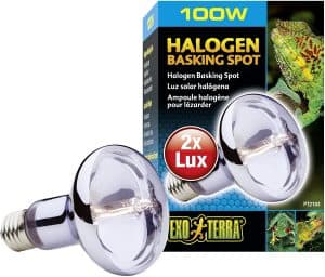 Exo Terra Sun Glo Halogen Basking Spot Lamp, Reptile Light Bulb, 100 Watts