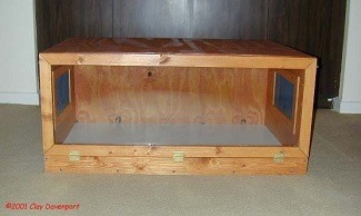 Wood for bearded dragon hot sale enclosure