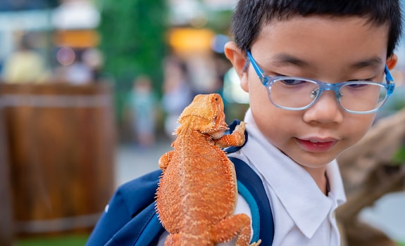 bearded dragon good with kids