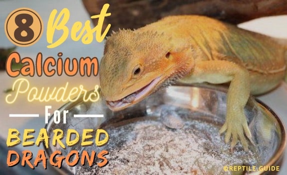 calcium powders for bearded dragons