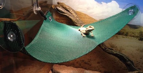 bearded-dragon-cage-setup-and-decor-ideas-13