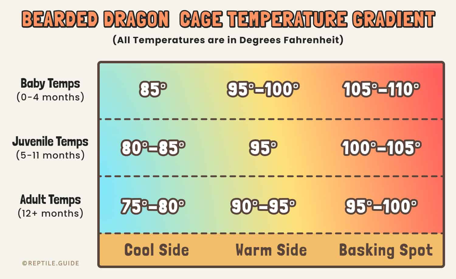 bearded dragon temperature gradient chart