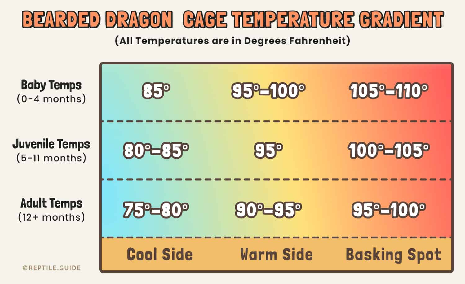 Our Bearded Dragon Tank Temperatures and Humidity Levels 