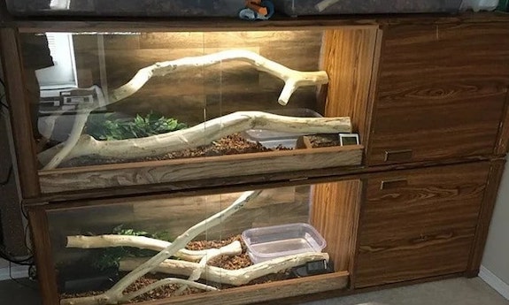 snake vivarium