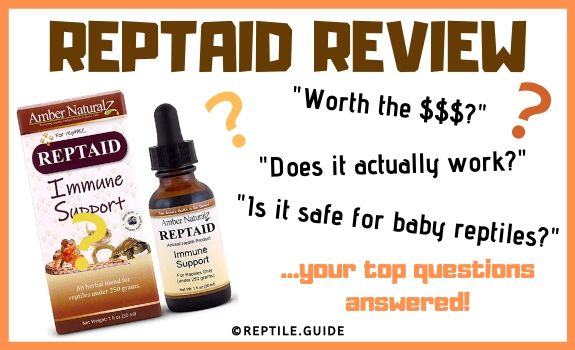 REPTAID REVIEW
