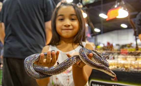 Young Girl Holding a Snake at Repticon