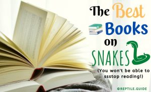 a snake falls to earth book