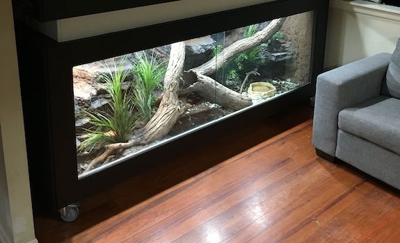 6 foot reptile store enclosure