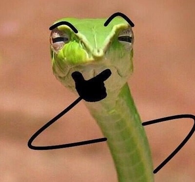 Funny Snake With Drawn on Arms 19