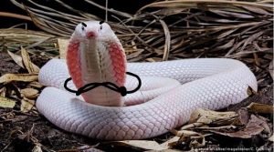 30 Hilarious Snakes With Drawn On Arms & Hands You Have to See