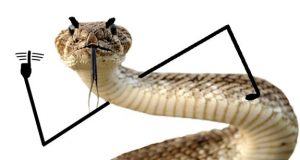 30 Hilarious Snakes With Drawn On Arms & Hands You Have to See