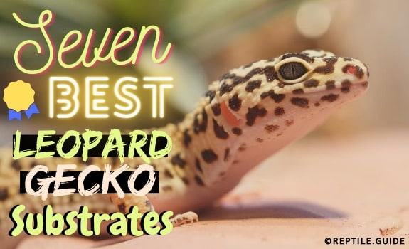best leopard gecko substrate