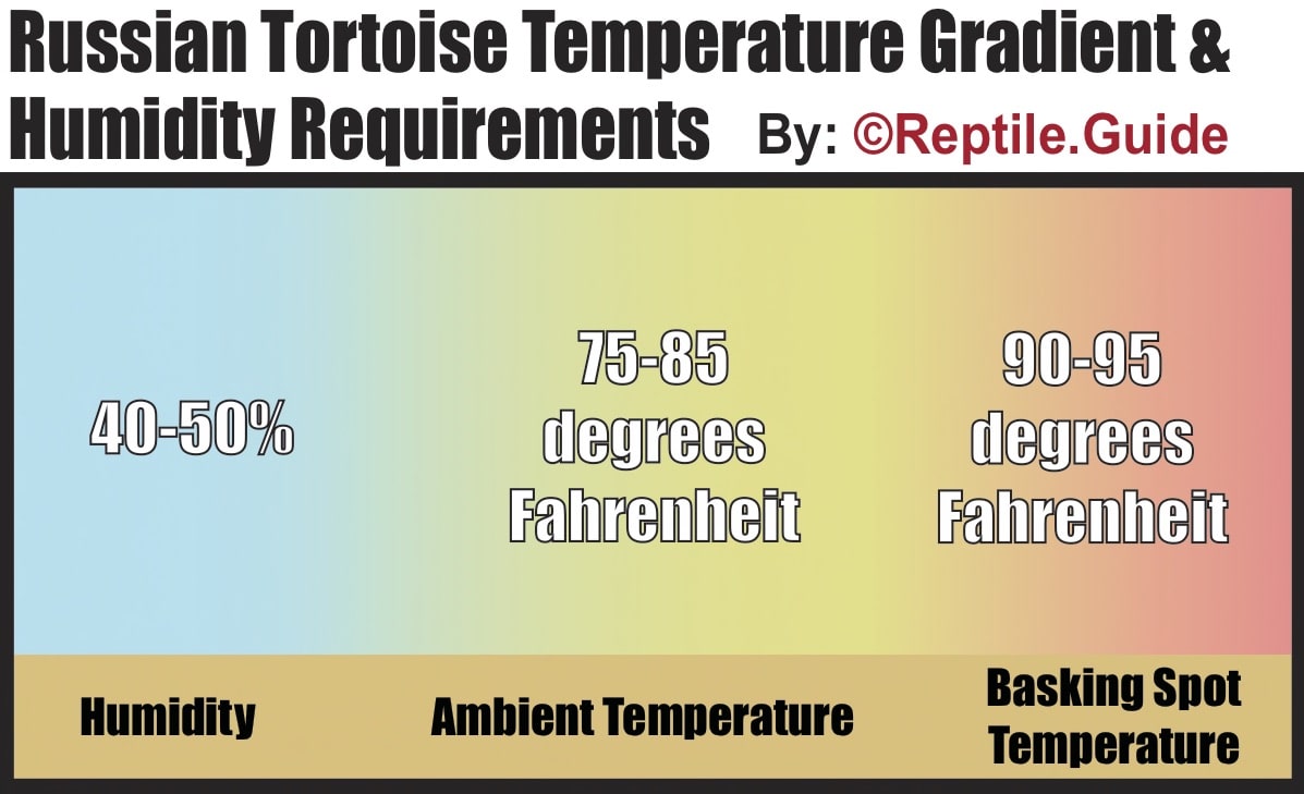 russian tortoise temperature and humidity