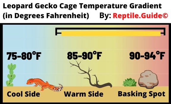 Leopard Gecko Cage Temperature