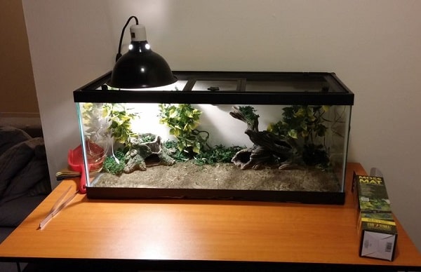 Glass Reptile Enclosure