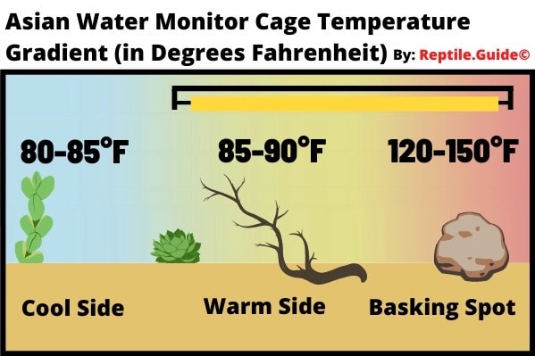 Asian Water Monitor Cage Temperature