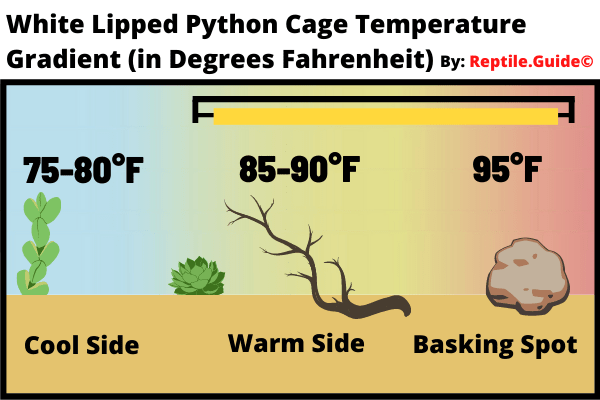 White Lipped Python Cage Temperature Gradient Chart