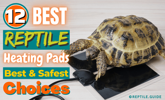 Warmer Heating Pad with Rough Surface Pet Reptile Heating Mat Moisture-Proof and Waterproof Safe Clothes Heating Pad for People Turtles Snake Lizard Hamster 8.66x5.91/13.78x7.87 Inch 