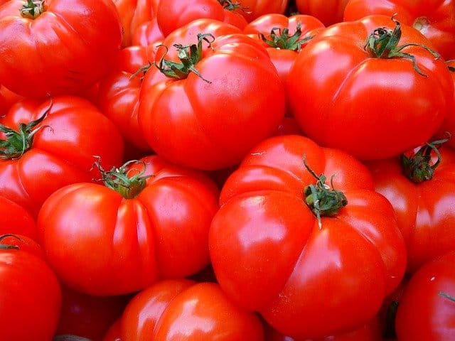 closeup of a pile of tomatoes