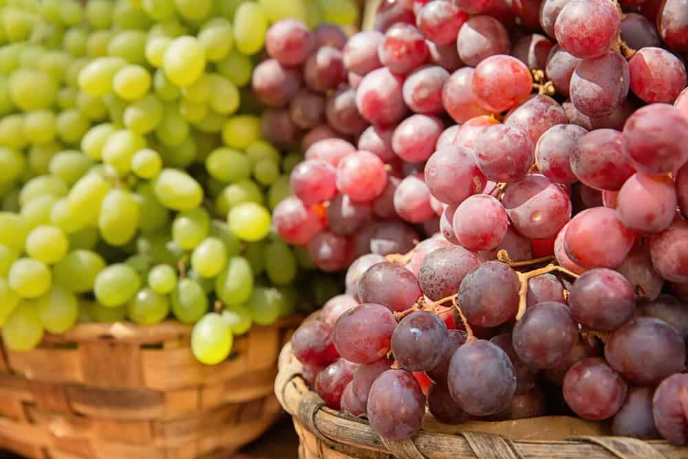 baskets of red and green grapes side-by-side