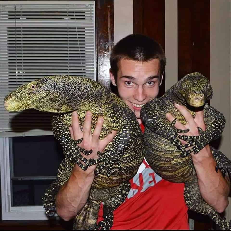 picture of man holding 2 crocodile monitors