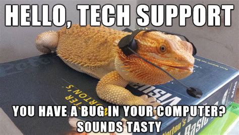Bearded Dragon Tech Support Meme