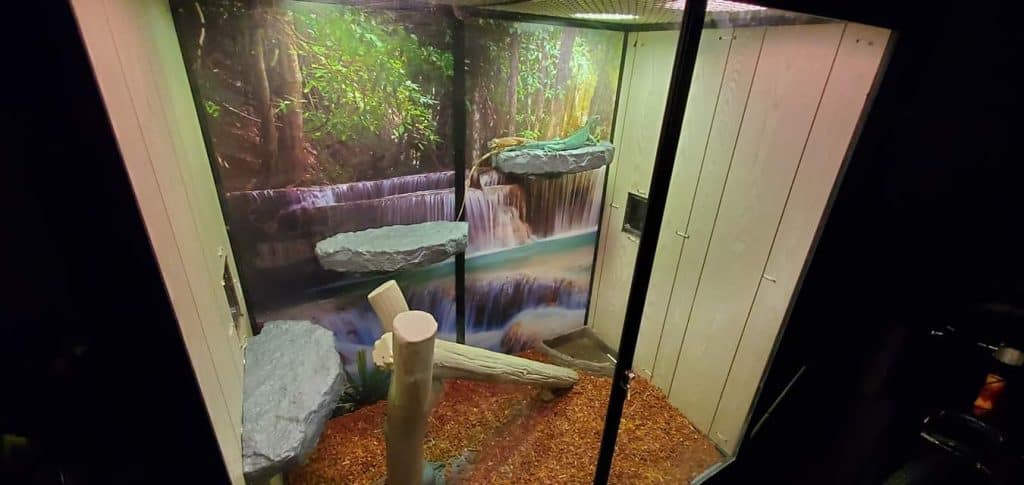 Iguana enclosure hotsell for sale