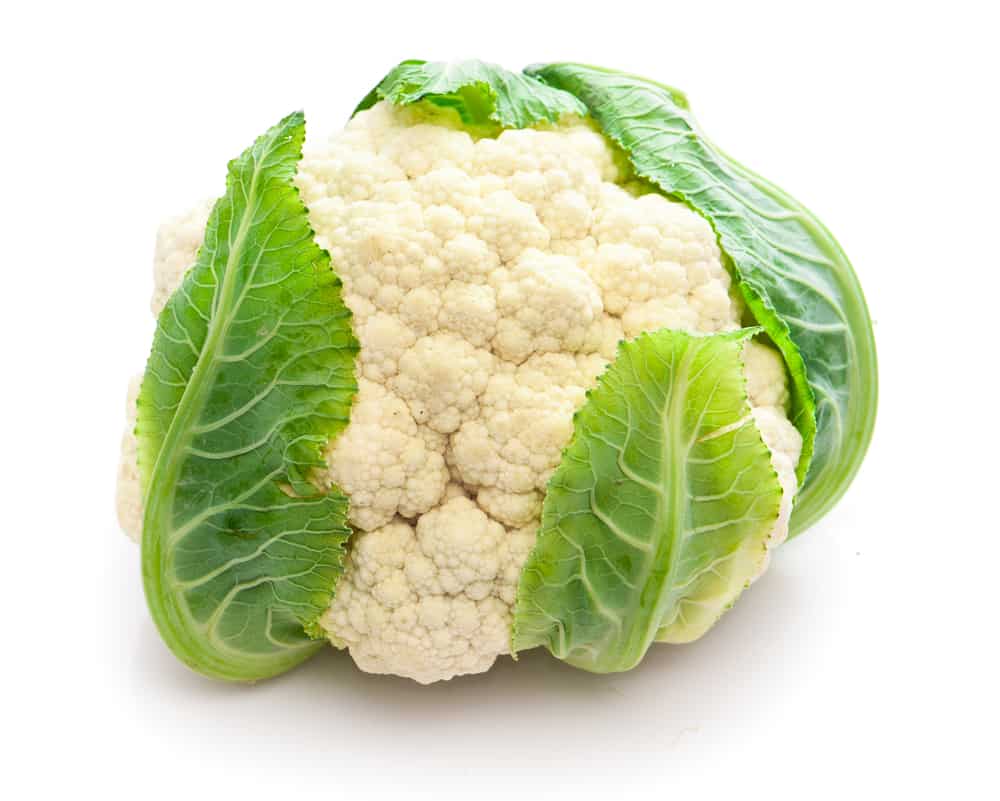 Raw cauliflower against a white background
