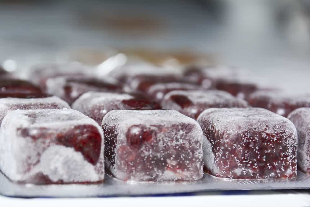 Frozen bloodworm cubes