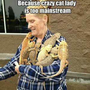 crazy bearded dragon lady meme