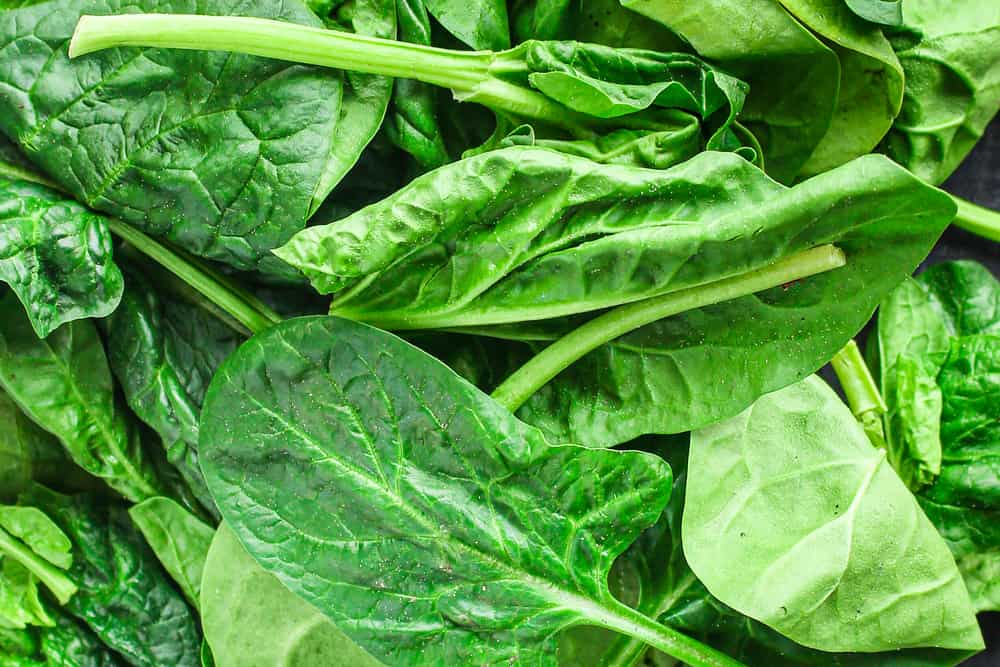 closeup of a pile of spinach