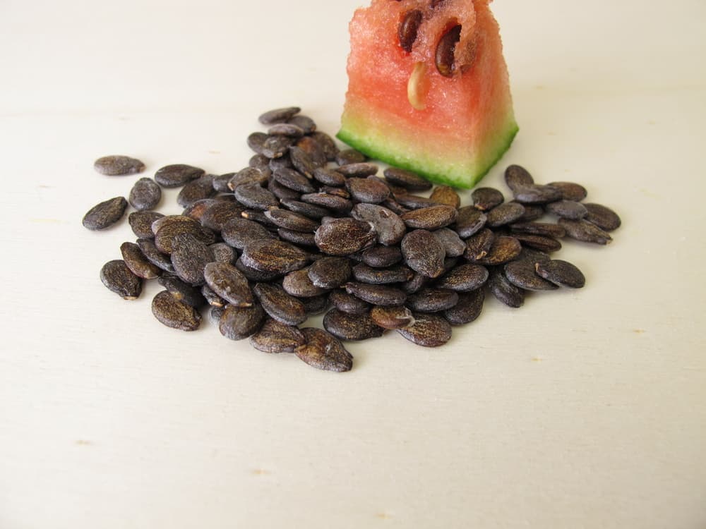 collection of watermelon seeds on white surface