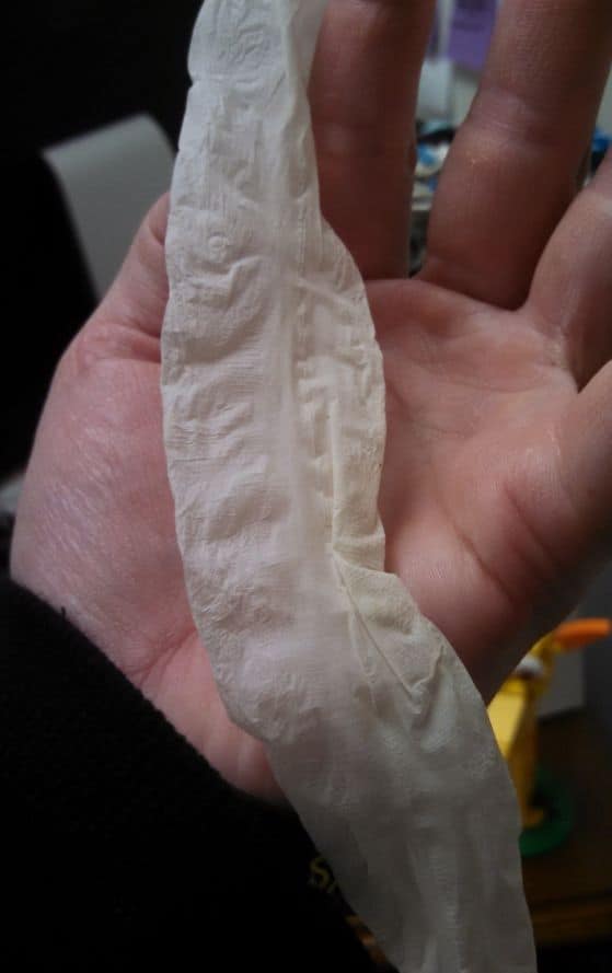 shed of a scaleless ball python in a person's hand