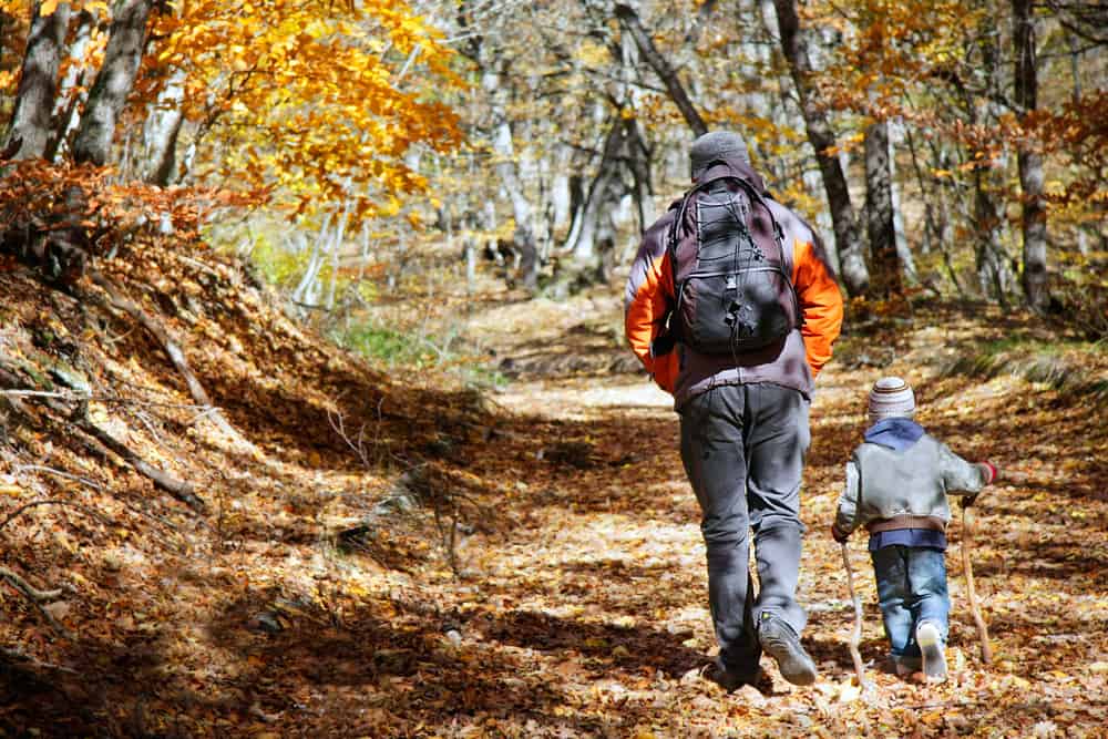 An adult man and a young child walking on a hiking pathnthrough a forest