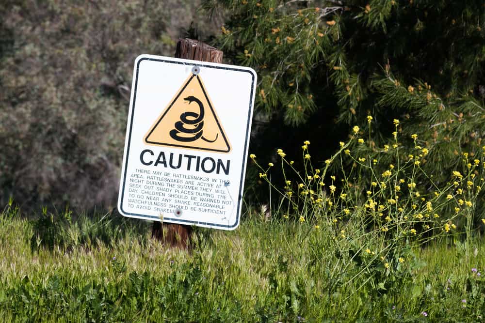 A sign warning that rattlesnakes may be in the area