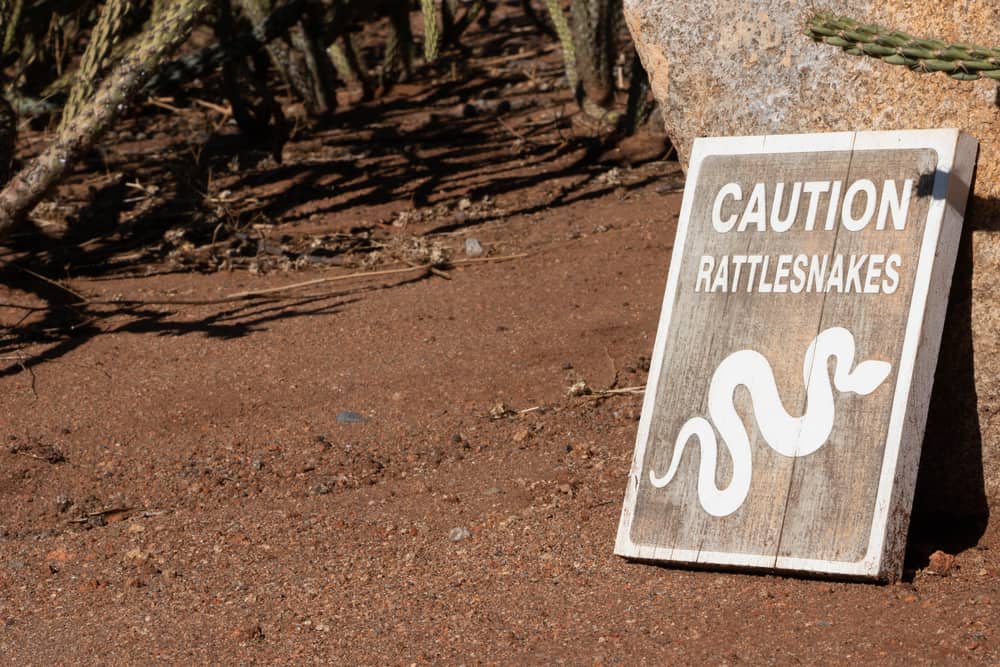 Caution rattlesnakes warning