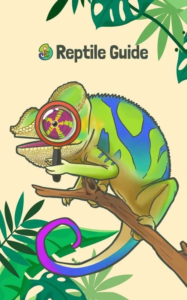 Reptile Guide Newsletter