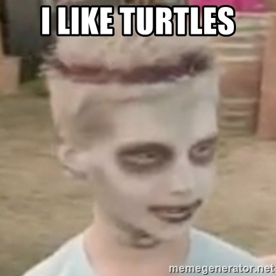 I Like Turtles Kid 2022