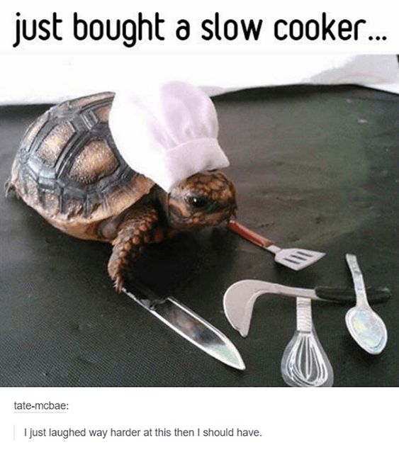 Just bought a slow cooker meme