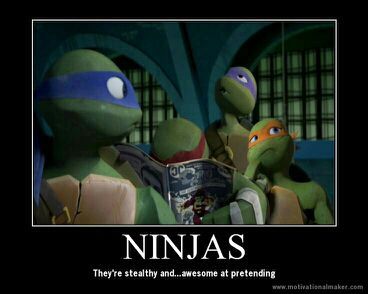 Ninjas meme