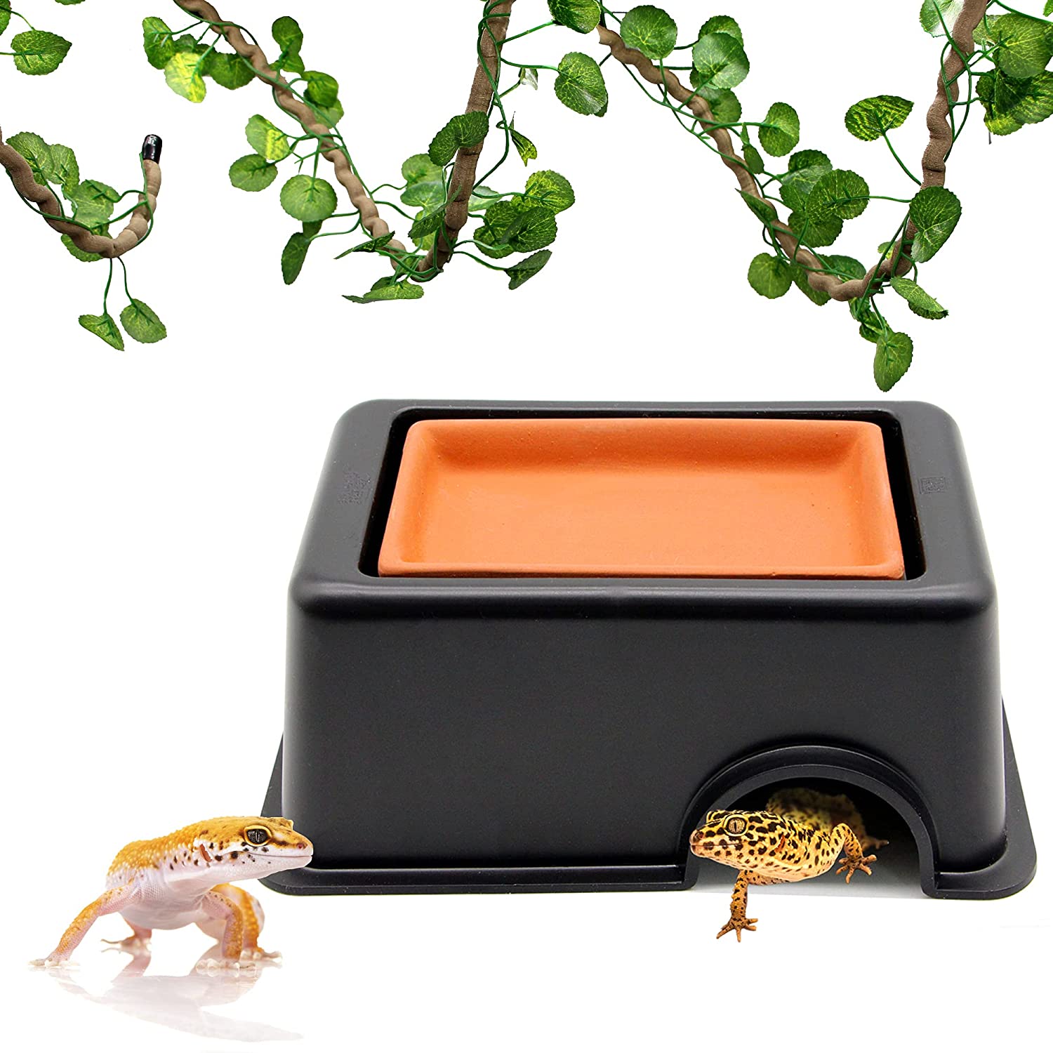 12 Best Leopard Gecko Hides To Purchase An Expert S Guide