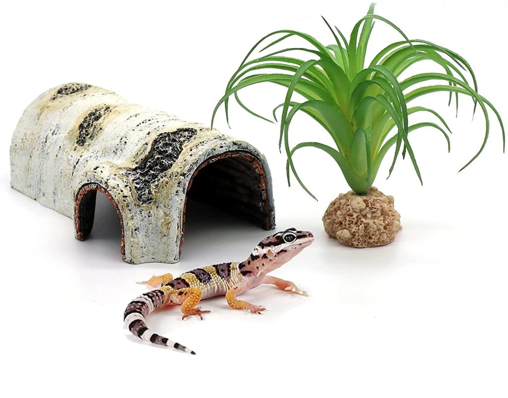 leopard gecko hides and caves