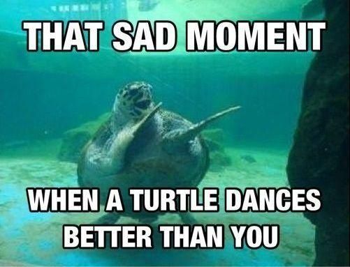 That sad moment when a turtle dances better than you meme