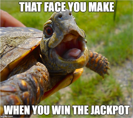 The face you make when you win the jackpot meme