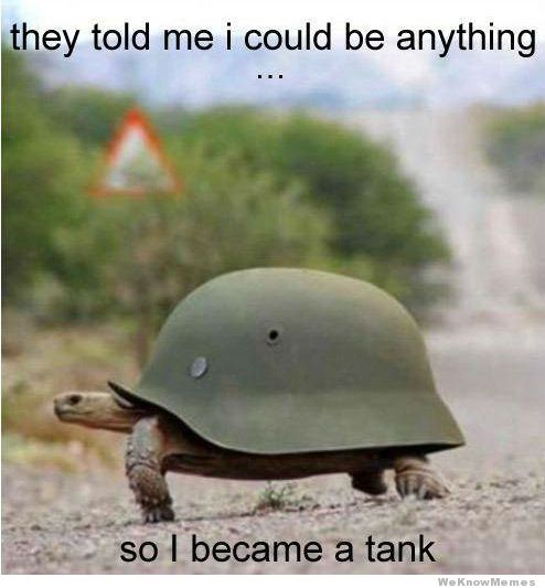 They told me I could be anything, so I became a tank meme