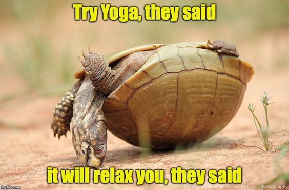 Try yoga, they said it will relax you, they said meme