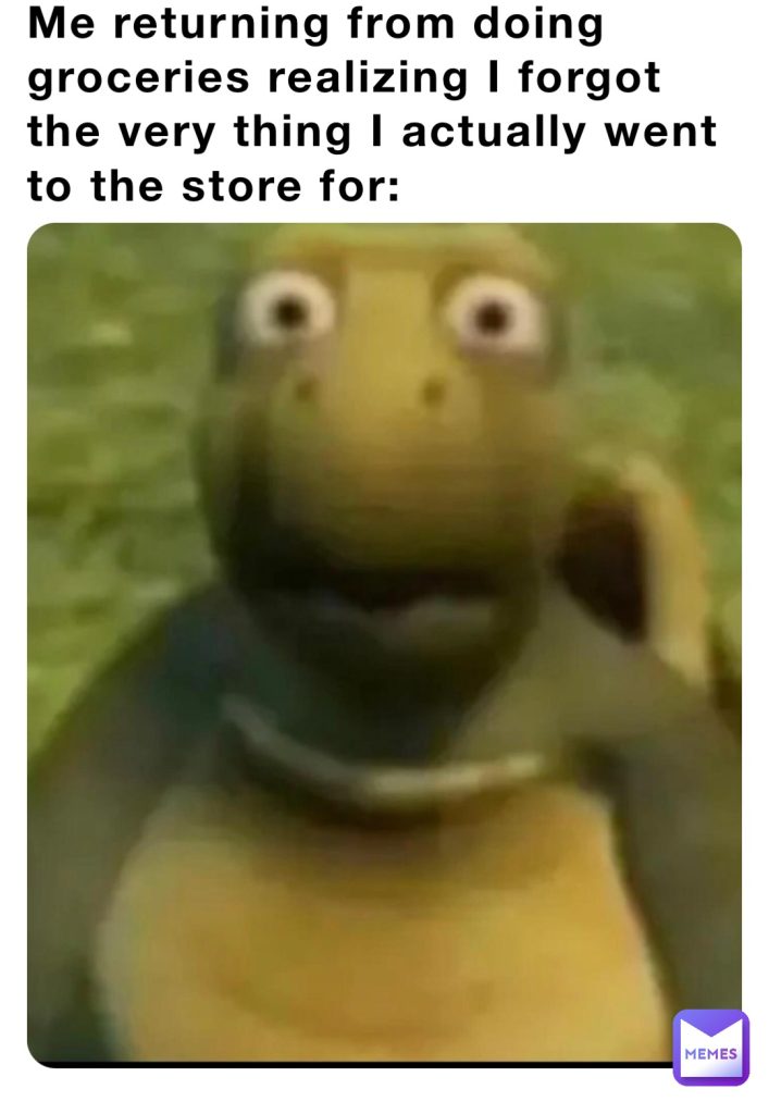 turtle meme