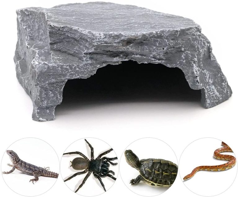 12 Best Leopard Gecko Hides to Purchase! (An Expert's Guide)